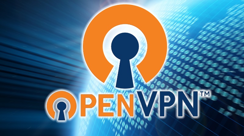 Imagen OpenVPN Entrada